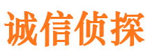 黎川婚外情调查取证